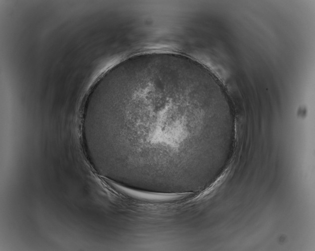 X0000098091405200804041209