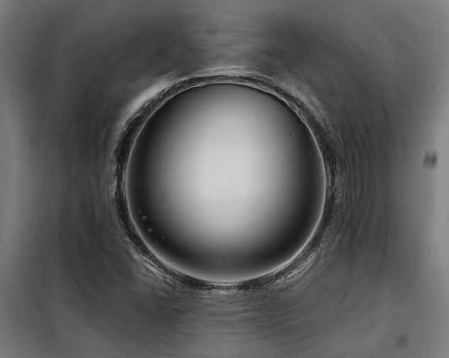 X0000098091406200804041209