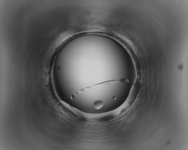 X0000098091407200804041209