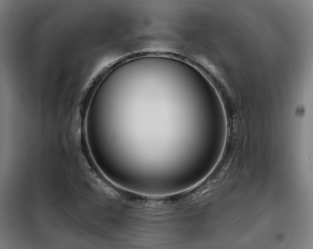 X0000098091408200804041209