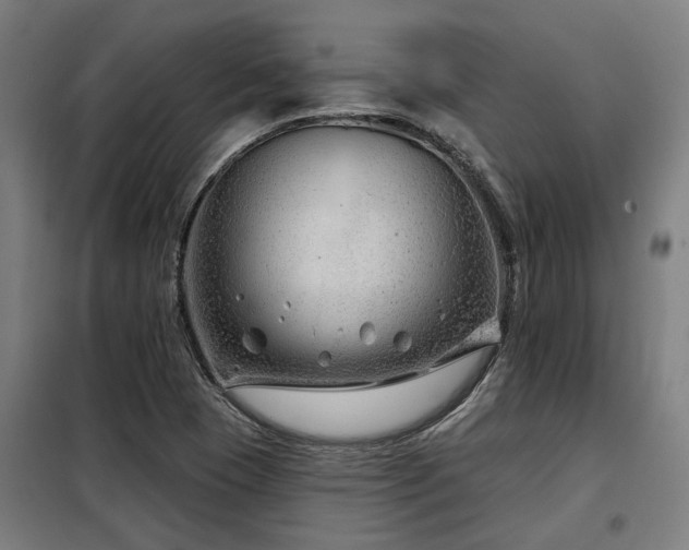 X0000098091409200804041209