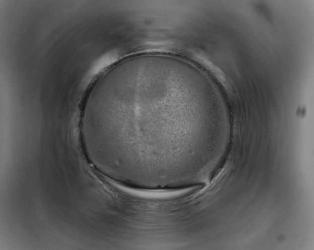 X0000098091411200804041209