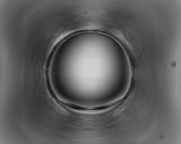 X0000098091412200804041209