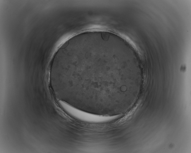X0000098091413200804041209