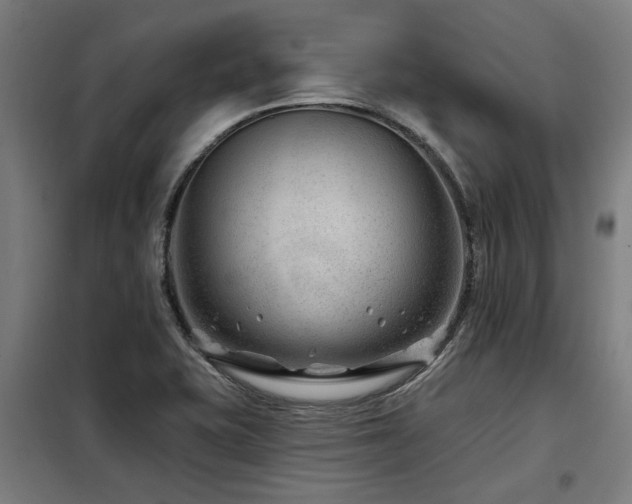 X0000098091415200804041209