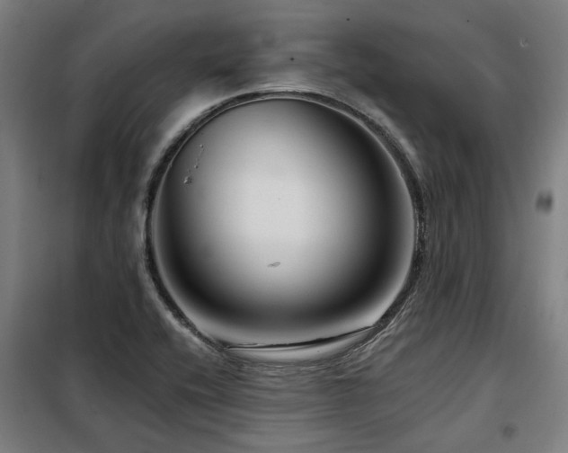 X0000098091416200804041209