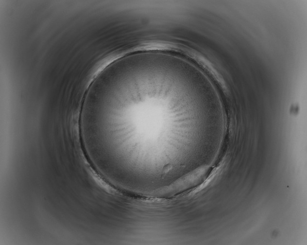 X0000098091417200804041209