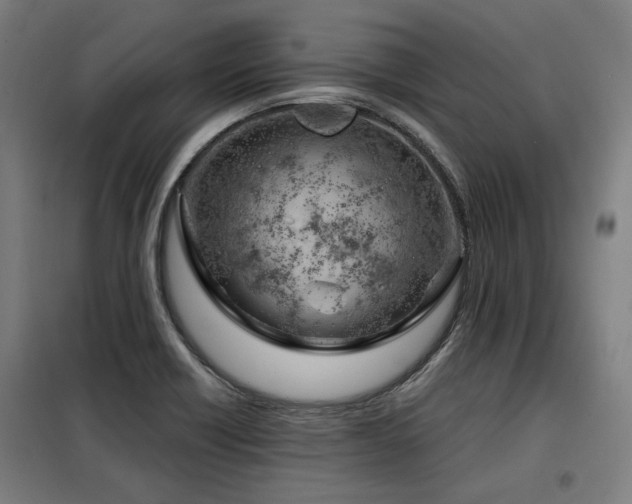 X0000098091418200804041209