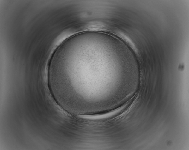 X0000098091419200804041209
