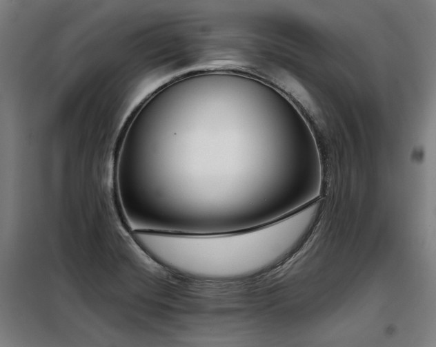 X0000098091420200804041209