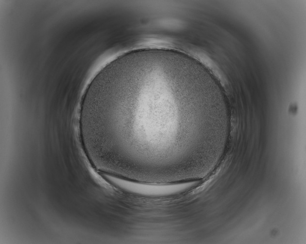 X0000098091421200804041209