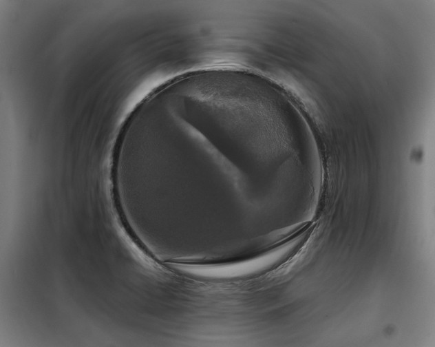 X0000098091422200804041209