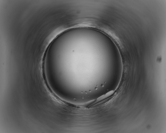 X0000098091423200804041209