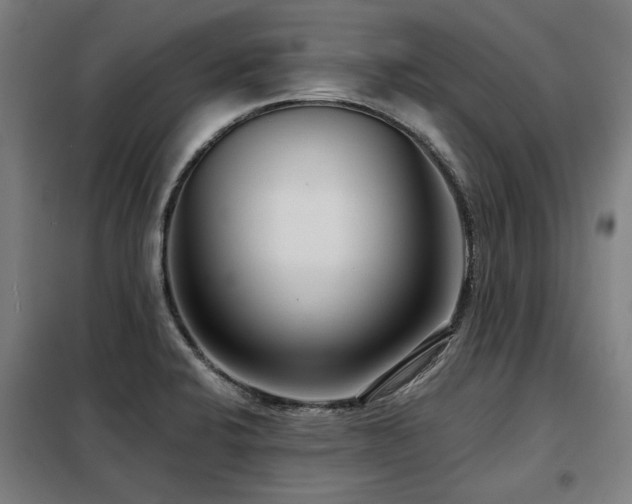 X0000098091424200804041209
