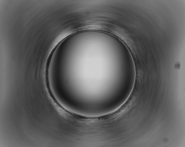 X0000098091426200804041209