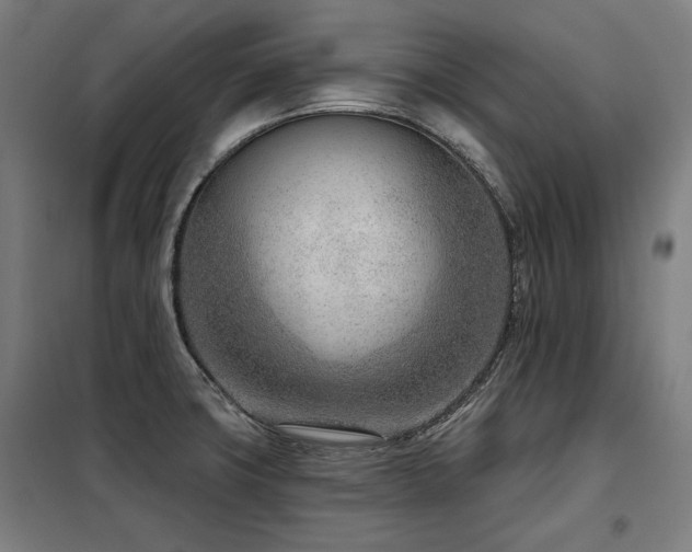 X0000098091427200804041209