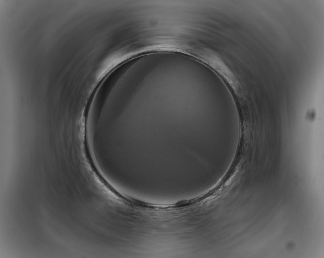 X0000098091428200804041209