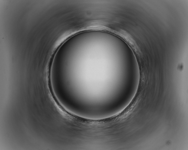 X0000098091430200804041209