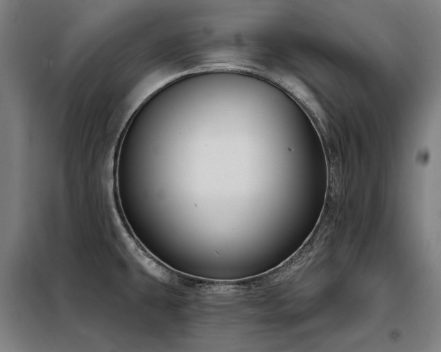 X0000098091431200804041209