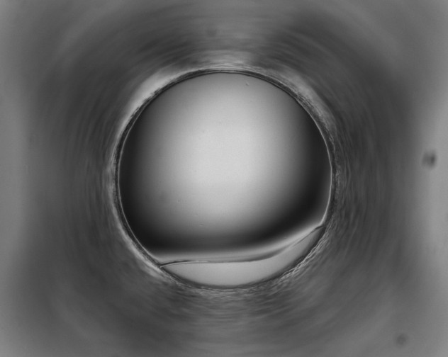 X0000098091432200804041209