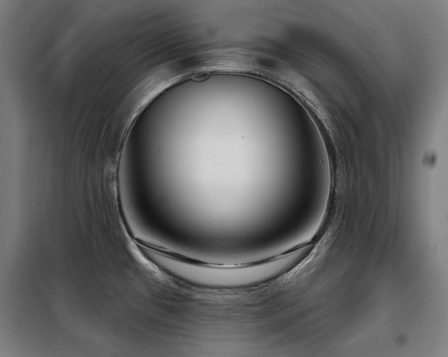 X0000098091433200804041210