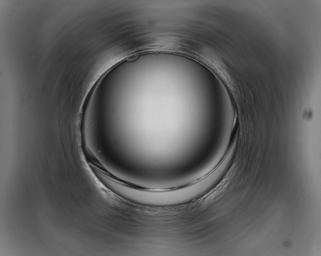 X0000098091434200804041210