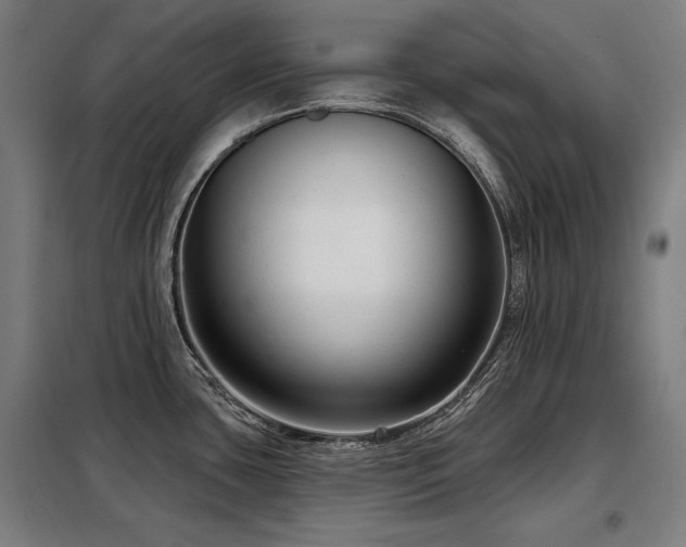 X0000098091435200804041210