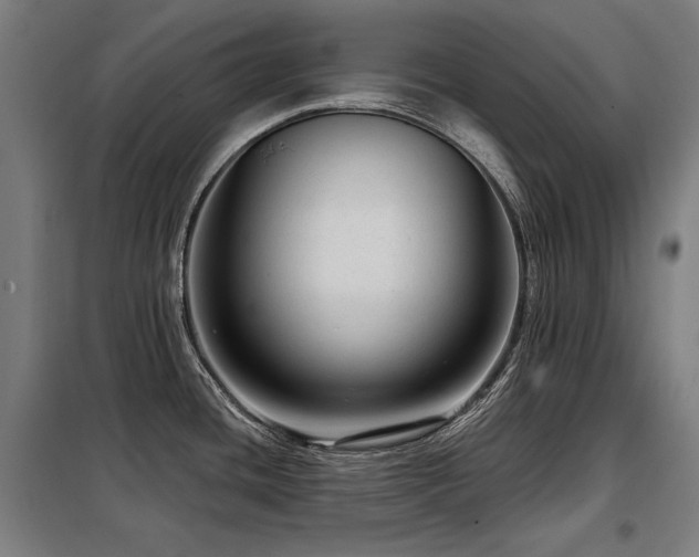 X0000098091436200804041210