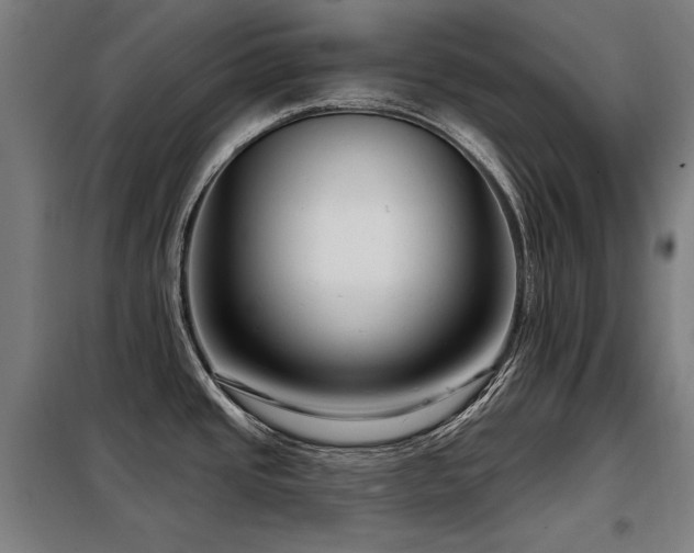 X0000098091437200804041210