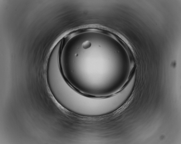 X0000098091438200804041210