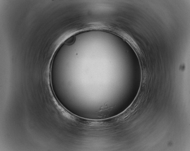 X0000098091439200804041210