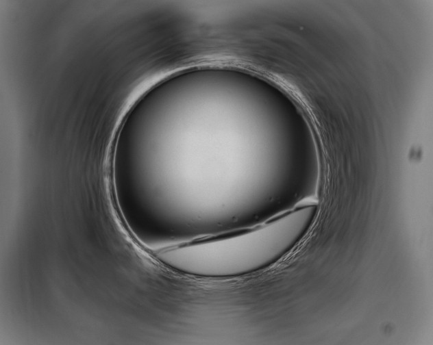 X0000098091440200804041210