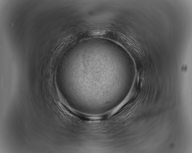 X0000098091441200804041209