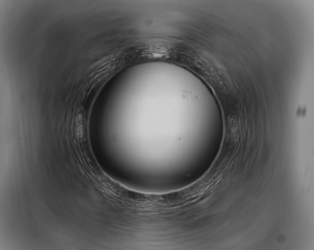 X0000098091442200804041209