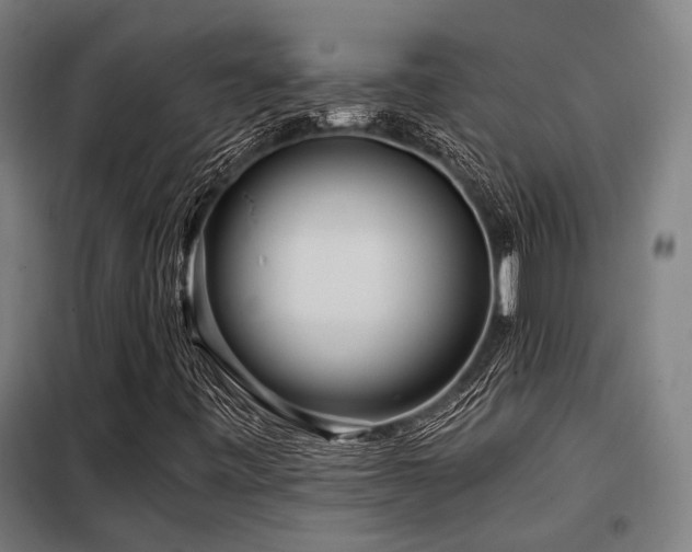 X0000098091443200804041209