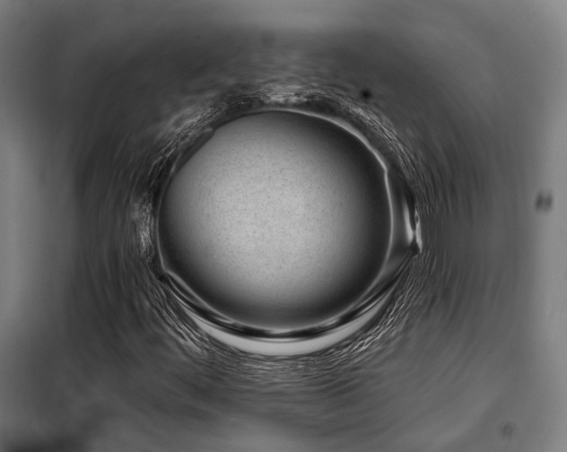 X0000098091444200804041209
