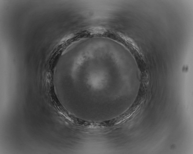 X0000098091445200804041209