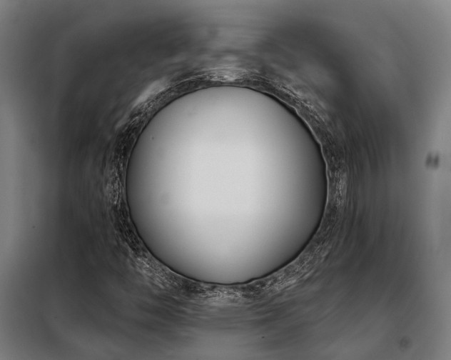X0000098091446200804041209