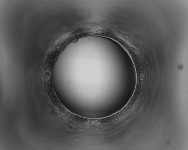 X0000098091447200804041209