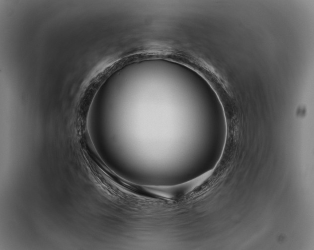 X0000098091448200804041209