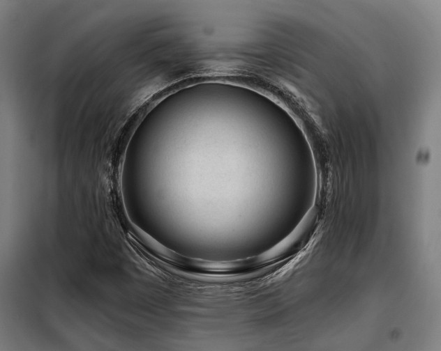 X0000098091449200804041209