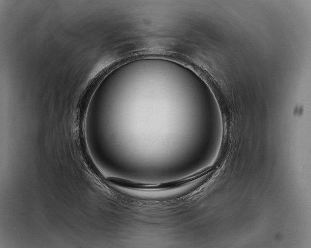 X0000098091450200804041209