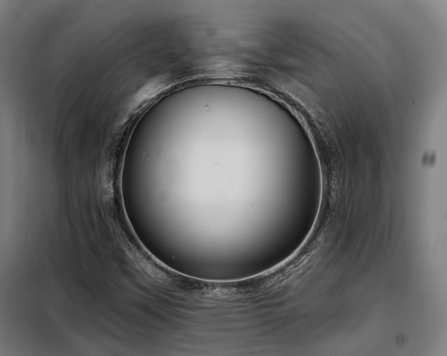 X0000098091451200804041209