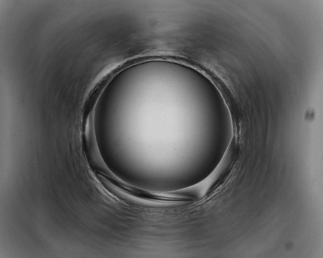 X0000098091452200804041209
