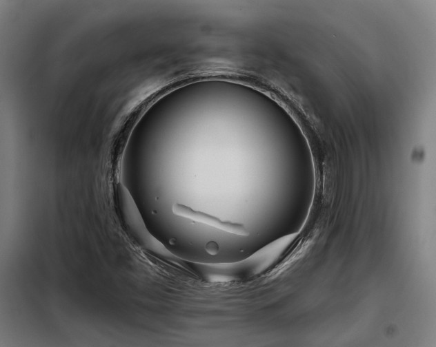 X0000098091453200804041209
