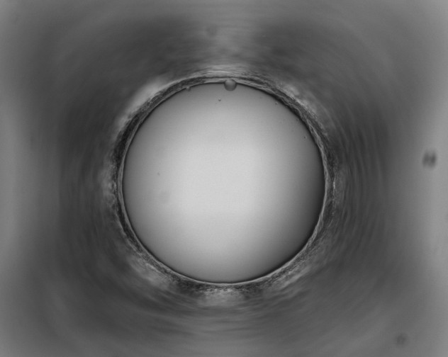 X0000098091454200804041209