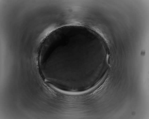 X0000098091455200804041209