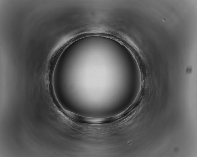 X0000098091456200804041209