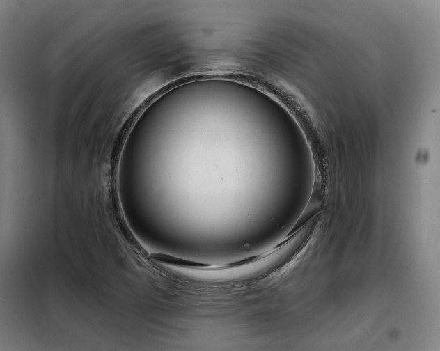 X0000098091457200804041209