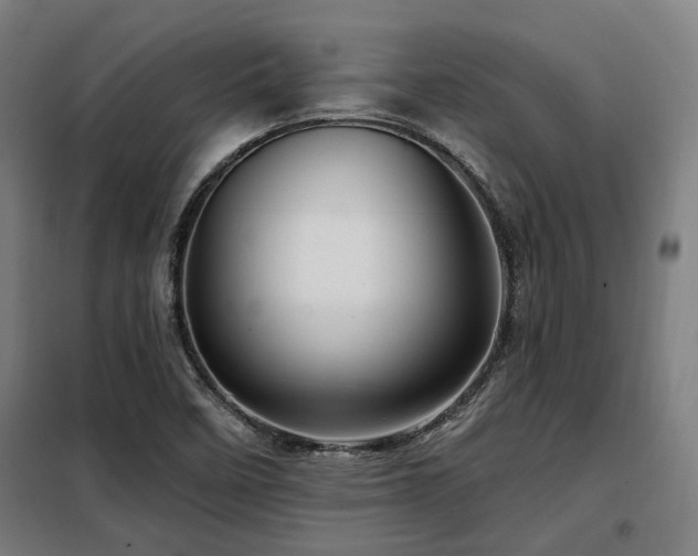 X0000098091458200804041209